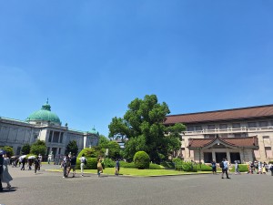 リラ