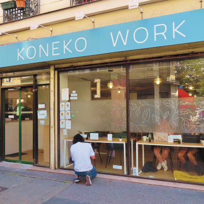 ネコカフェ風コワーキングスペース「Koneko Work」パリにオープン