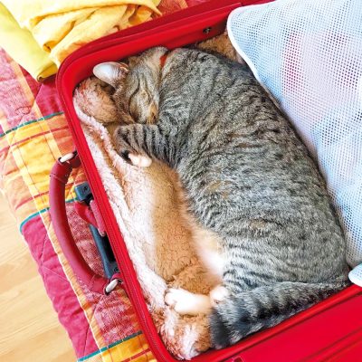 バカンス万歳！