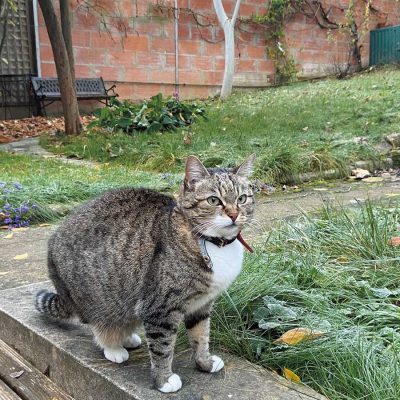 最強リリちゃん!