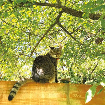 猛暑のパリ！